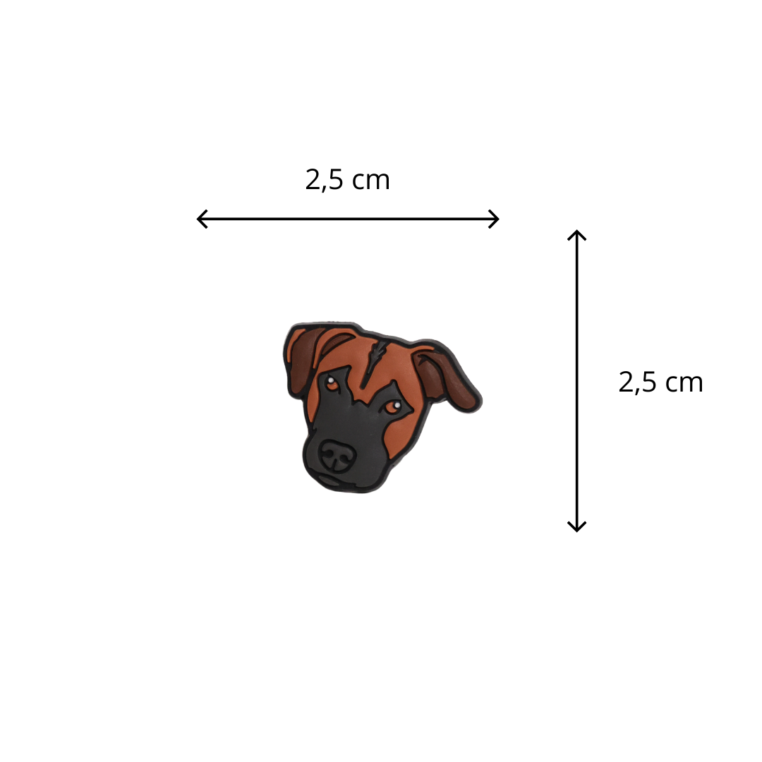 chien brun et noir