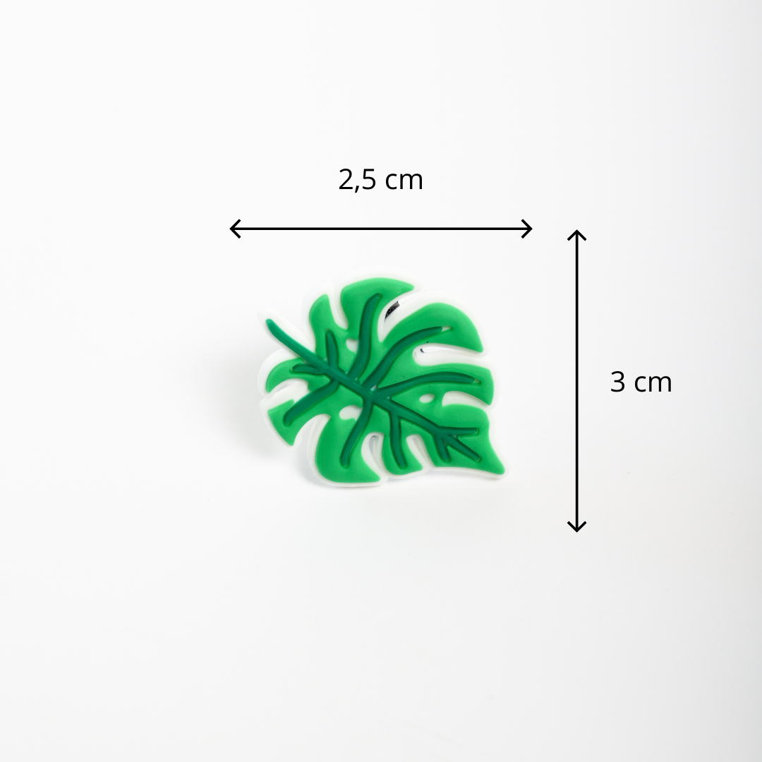 Monstera