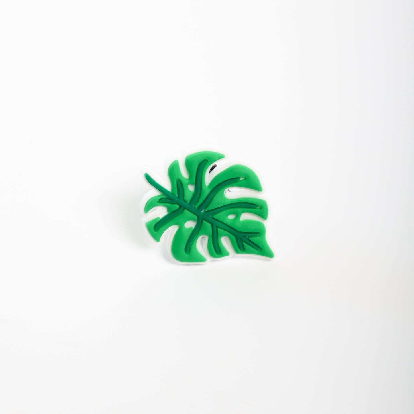 Monstera