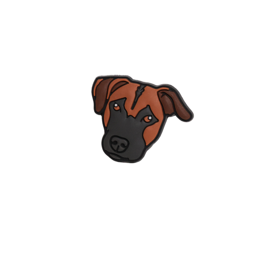 chien brun et noir