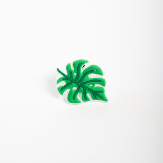 Monstera